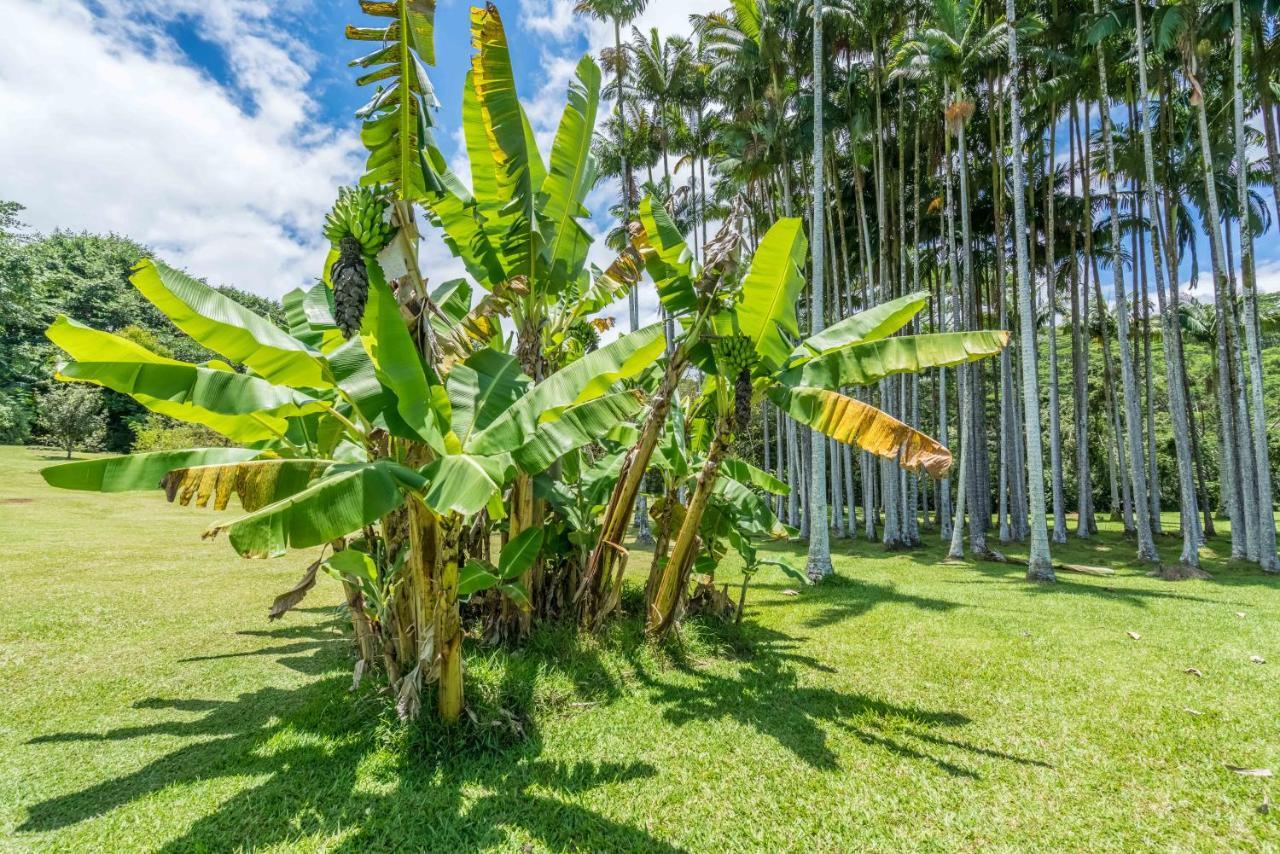 Old Hawaiian Bed And Breakfast Hilo Kültér fotó
